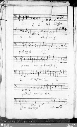 32 Philipp Dulichius: Quaerite primum