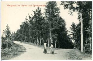 Hartha. Waldspaziergang