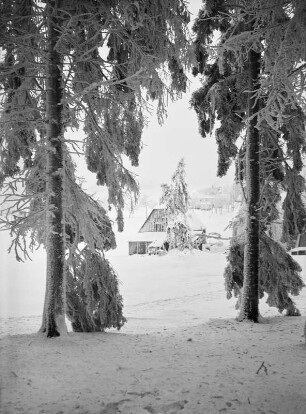 Seiffen-Heidelberg. Blick durch bereifte Fichten am Waldrand auf die Scheune des Wasserkraftdrehwerkes. Winterbild