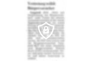 Vertretung wählt Bürgervorsteher