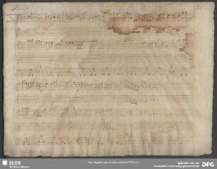 Laudate pueri Dominum laudate nomen Domini - Mus.2389-E-3 : S, orch, bc - G; RV 601