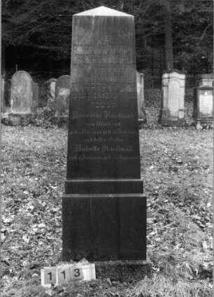 Grabstein 113