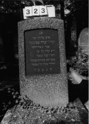Grabstein 323 (Index: 100094636) Material: Granit Zustand: gut Maße HxBxT: 105x51x25 cm Beschreibung: leicht konische Stele, Segmentbogenabschluß, Schriftplatte: Grabstein 323