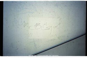 "BG"