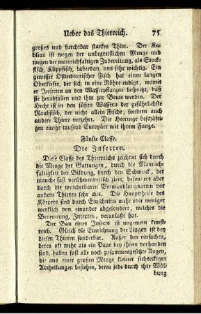 Fünfte Klasse. Die Insecten