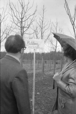 Vorbereitungen für die Frühjahr- und Sommersaison bei der Stadtgärtnerei in Rüppurr
