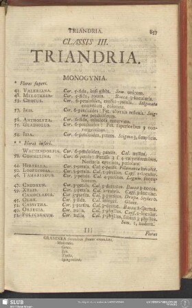 Classis III. Triandria