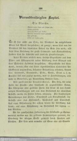 Vierunddreissigstes Kapitel. Die Bleiche