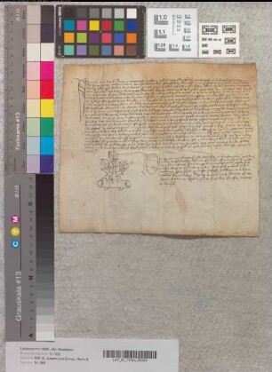 Notariatsinstrument, vermög welchem Heinrich Surink an den Rektor des Altars der Muttergottes eine jährliche Rente von neun Schillingen aus seinem Haus übergibt.