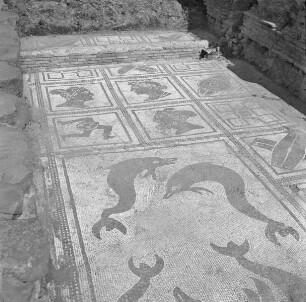 Terme di via dei Vigili