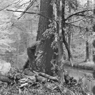 Waldarbeiter im Hochwald. : Lěsni dźěłaćerjo we wysokolěsu.