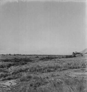 Panorama : Panorama der Grabenebene in Richtung der Virunga-Vulkankette