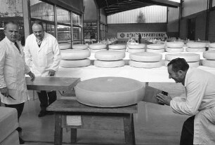 28. große DLG-Qualitätsprüfung für Käse in der Nancyhalle