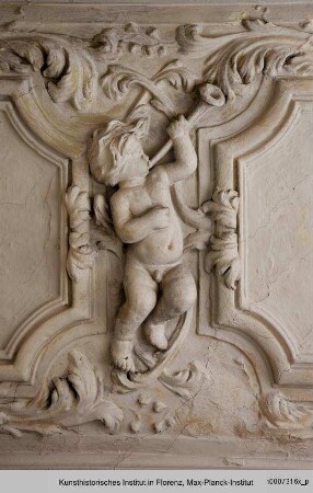 Stuckdecke mit Akanthus- und Blumenranken und Putto