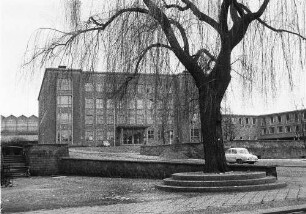 Deutsche Demokratische Republik. Forschungsinstitut, Haupteingangsfront. Ansicht mit Platzanlage und einem Baum