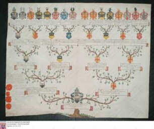 Ahnenprobe des Gottfried Waldner v. Freudenstein. - ausgefertigt 1782 Juni 3, Pergament