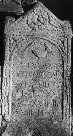 Grabdenkmal des C. Vibulius