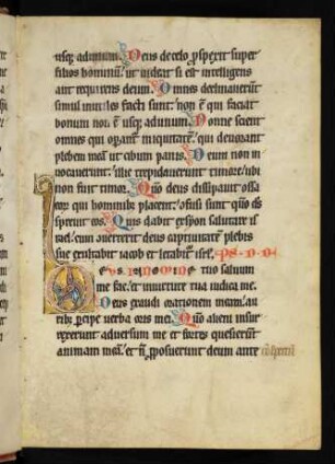 Historisierte Initiale D mit Vogel auf Goldgrund