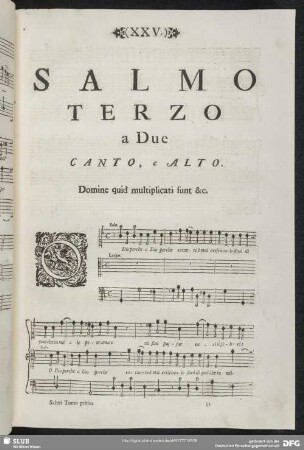 Salmo terzo
