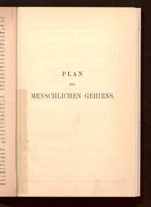 Plan des menschlichen Gehirns : auf Grund eigener Untersuchungen entworfen ; mit erläuterndem Texte