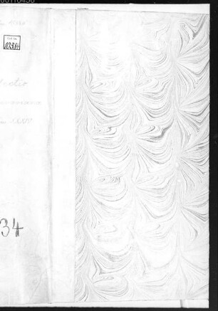Epistolae ad Theodorum ab Almeloveen [u.a.] - BSB Clm 10384
