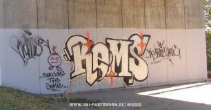 ReMS