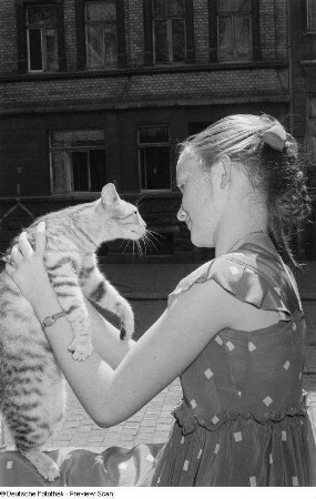 Porträt eines Mädchens mit einer Katze
