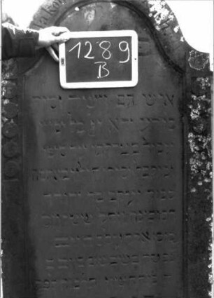 Grabstein 1289 (Index: 100104541) Material: Sandstein Zustand: leicht verwittert Maße HxBxT: 175x70x20 cm Beschreibung: Stele mit Konvexbogenabschluss, Schriftfeld eingetieft, im Bogenfeld Blüte, auf den seitlichen Rahmen Scheibenfries Symbolik: Blüte, Scheibenfries: Grabstein 1289B