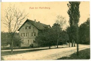 Moritzburg. Auer