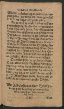 Wie Andolosia ein alter Waldbruder zu hülff kam/ das er der ungestalten Hörner/ die er hette/ wider loß ward.