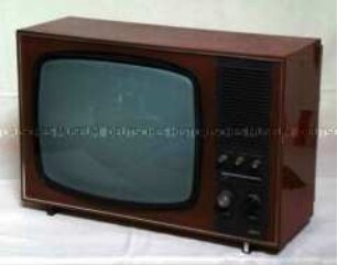 Fernsehgerät "Ines 2206U"