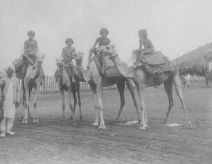 Arabische Wüstenreiter : Länderkunde | Ethnographie, Asien | Arabien
