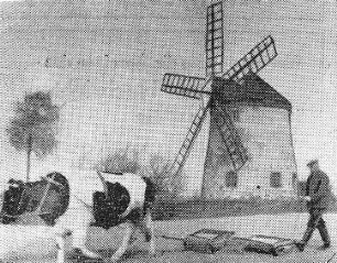 Reichenbach/O.L.. Holländermühle, aus: Görlitzer Nachrichten vom 17.6.1938