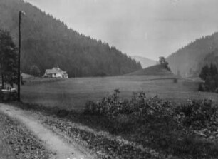Berglandschaft : Blick auf Waldflächen auf dem Bergrücken rechts und links, im Vordergrund Wiesenfläche