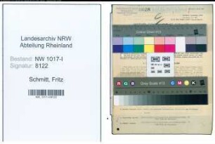 Entnazifizierung Fritz Schmitt , geb. 10.03.1896 (Fabrikant)