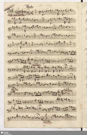 1306. Cavatina: Batti il ferro / Seydelmann, F.