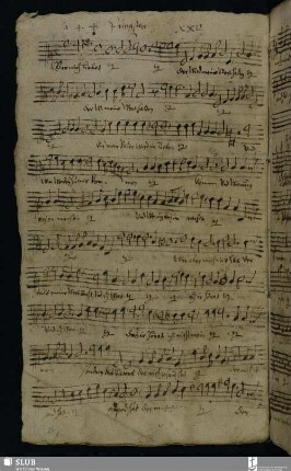 XXV. Cadner, Johann: Wer mich liebet