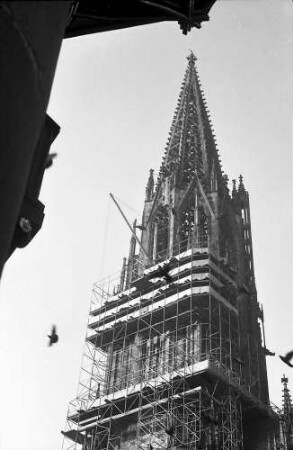 Freiburg: Münsterturm im Gerüst, von Südosten