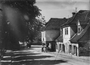 Ansicht einer Straße : Unbekannter Ort. Ansicht einer Straße Straße mit Grünwaren-Geschäft Franz Burkhardt, Nr. 2