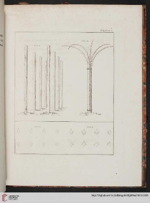 Plate I - LIX