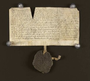 1586 Nov. 11. Hausrentenverkauf in Haus auf der Echternstrasse an die "unierten" Armen zu den Brüdern (St. Loyen).