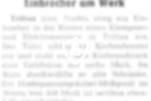 Einbrecher am Werk