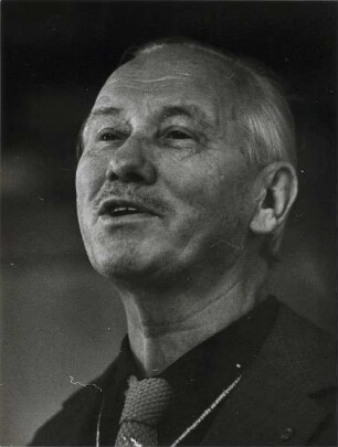 Heinz Willmann