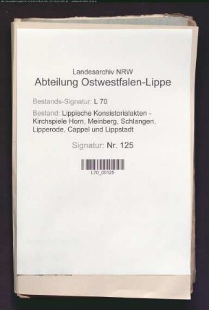 Kirchenbesitzungen (Grundbesitz)