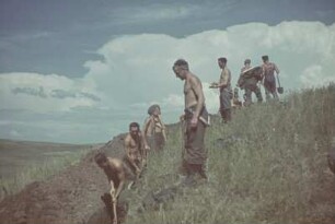 Zweiter Weltkrieg. Frontbilder. Deutsche Wehrmachtssoldaten beim Ausheben eines Schützengrabens