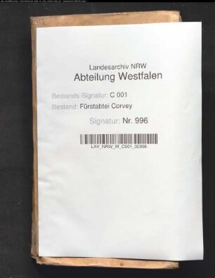 Kriminalgerichtsprotokoll (Protocollum criminale) (mit Namensregister)