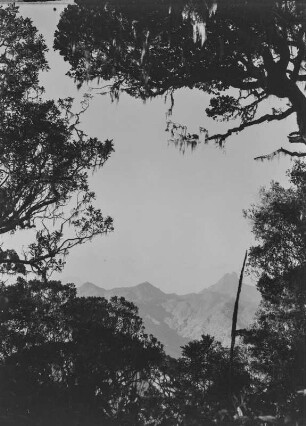 Die Uluguru-Berge : Blick auf die Uluguru-Berge