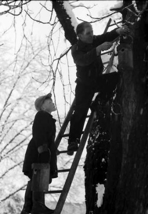 Freiburg: Colombipark, Kinder hängen Starenkästen an die Bäume