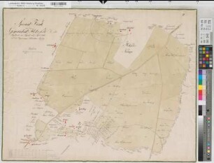 Werne (Werne), Teilung des Hohefeldes, Reinkarte