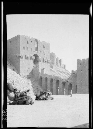 Aleppo (Gouv. Aleppo, Syrien), Burg mit rastenden Lasttieren davor